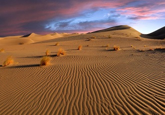 Iran Desert National Park